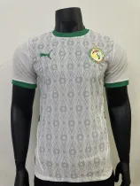 24/25  Senegal Home Player 1:1 Quality Soccer Jersey