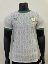24/25  Senegal Home Player 1:1 Quality Soccer Jersey