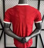 24/25 Arsenal Special Edition Red Player 1:1 Quality Soccer Jersey