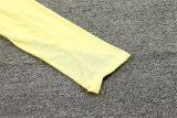 24/25  Liverpool Lake Yellow Version Player 1:1 Quality Training Jersey