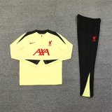 24/25  Liverpool Lake Yellow Version Player 1:1 Quality Training Jersey