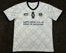 24/25  Palestine  Grey White  Fans 1:1 Quality Soccer Jersey