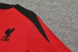 24/25  Liverpool Lake Red Version Player 1:1 Quality Training Jersey