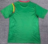 24/25 Cameroon Home Fans 1:1 Quality Soccer Jersey