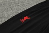 24/25  Liverpool Lake Red Version Player 1:1 Quality Training Jersey
