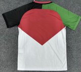 24/25  Palestine  White Fans 1:1 Quality Soccer Jersey