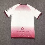 24/25  Torino FC  Away Training Clothes Fans 1:1  Quality  Soccer Jersey