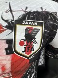 24/25 Japan Special Edition Player 1:1 Quality Soccer Jersey