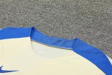 24/25 Inter Milan  Skin Colour 1:1 Quality Training  （A-Set）