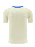 24/25 Inter Milan  Skin Colour 1:1 Quality Training  （A-Set）