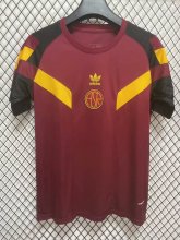 24/25 Roma Special Edition Fans 1:1 Quality Soccer Jersey