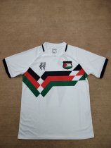 24/25  Palestine  White Fans 1:1 Quality Soccer Jersey