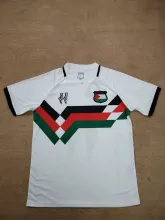 24/25  Palestine  White Fans 1:1 Quality Soccer Jersey