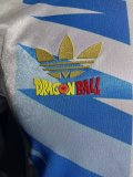 24/25 Argentina Special Edition Player 1:1 Quality Soccer Jersey