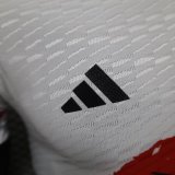 24/25 Japan Special Edition Player 1:1 Quality Soccer Jersey