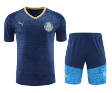 24/25 Palmeiras Blue 1:1 Quality Training Jersey（A-Set）