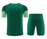 24/25 Palmeiras Green 1:1 Quality Training Jersey（A-Set）