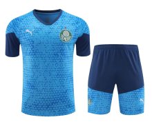 24/25 Palmeiras Sky Blue 1:1 Quality Training Jersey（A-Set）