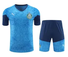 24/25 Palmeiras Sky Blue 1:1 Quality Training Jersey（A-Set）
