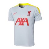 24/25  Liverpool Dark Gray  1:1 Quality Training Jersey（A-Set）