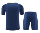 24/25 Palmeiras Blue 1:1 Quality Training Jersey（A-Set）