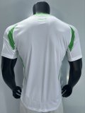 24/25 Algeria  Home Fans 1:1 Quality Soccer Jersey