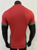 24/25  Morocco Red  Home Player 1:1 Quality Soccer Jersey