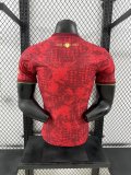24/25 Portugal 103rd Anniversary Edition Player 1:1 Quality Soccer Jersey