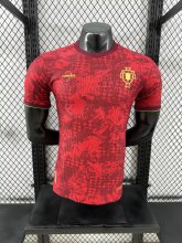 24/25 Portugal 103rd Anniversary Edition Player 1:1 Quality Soccer Jersey
