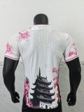 24/25 Japan Special Edition Player 1:1 Quality Soccer Jersey