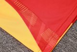 24/25 Bayern Munich Training Red 1:1 Quality Training Jersey