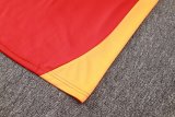 24/25 Bayern Munich Training Red 1:1 Quality Training Jersey