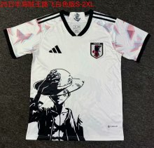 24/25 Japan Pirate Wang Lufei Fans 1:1 Quality Soccer Jersey