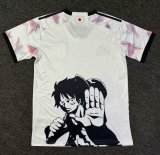 24/25 Japan Pirate Wang Lufei Fans 1:1 Quality Soccer Jersey