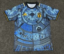 24/25 Italy Blue Special  Edition Fans 1:1 Quality Soccer Jersey