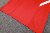 24/25 Bayern Munich Training Red 1:1 Quality Training Jersey