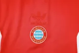 24/25 Bayern Munich Training Red 1:1 Quality Training Jersey