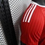 24/25 Manchester United Special Edition Red Player 1:1 Quality Soccer Jersey