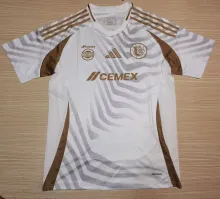 24/25 Tiger Third Fans 1:1 Quality  Soccer Jersey