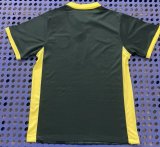 24/25 Barcelona  Special Edition Fans 1:1 Quality Soccer Jersey