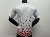 24/25 Sunderland Special Edition Fans 1:1 Quality  Soccer Jersey