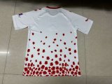 24/25 Sunderland Special Edition Fans 1:1 Quality  Soccer Jersey