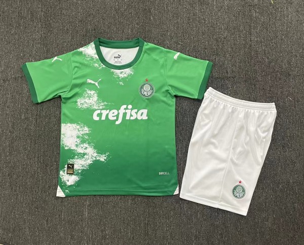 24/25 Palmeiras Special Edition Kids1:1 Quality Soccer Jersey