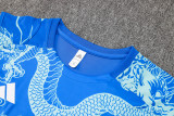 24/25  Real Madrid  Blue 1:1 Quality Training Vest（A-Set）