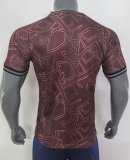 24/25 Denmark Special Edition Fans 1:1 Quality Soccer Jersey