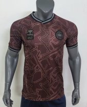 24/25 Denmark Special Edition Fans 1:1 Quality Soccer Jersey
