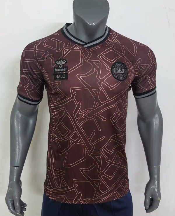 24/25 Denmark Special Edition Fans 1:1 Quality Soccer Jersey