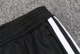 24/25 Japan Colorful Dragon Ball Training  1:1 Quality Training Jersey