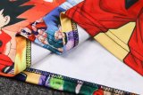 24/25 Japan Colorful Dragon Ball Training  1:1 Quality Training Jersey