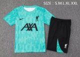 24/25  Liverpool  Green 1:1 Quality Training Jersey（A-Set）